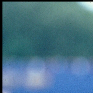 La princesse Diana embrassant le prince Charles après un match de polo le 27 juin 1987.