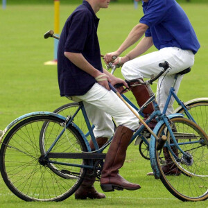 Le prince William et le prince Harry en 2002.