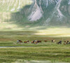 Troupeau de chevaux au pied d'une montagne se reflétant dans l'eau, dans la vallée de Naryn, province de Naryn, Kirghizistan, Asie Centrale