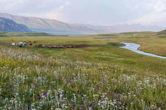 Fleurs sauvages et camp de yourtes dans la vallée de Naryn, province de Naryn, Kirghizistan, Asie Centrale