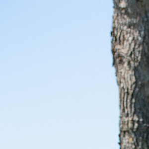 Melococo (Mélody Coco) et Sandra Sisley - Deuxième édition du challenge caritatif "Talon Pointe Saison 2 / Can-Am" sur le circuit Paul Ricard au Castellet, France, le 9 juillet 2022. © Patrick Carpentier/Bestimage 