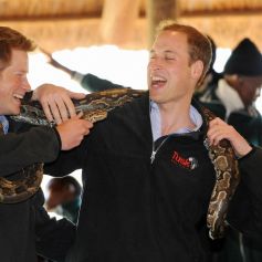 Le prince Harry, duc de Sussex, le prince William, duc de Cambridge, en visite en 2010 au Botswana