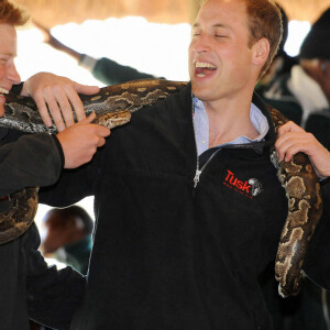 Le prince Harry, duc de Sussex, le prince William, duc de Cambridge, en visite en 2010 au Botswana