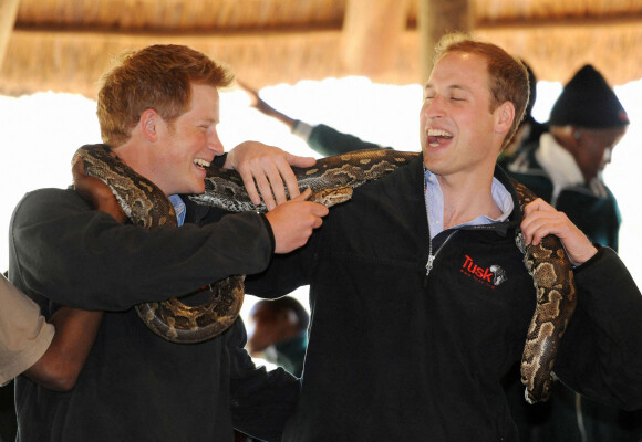 Le prince Harry, duc de Sussex, le prince William, duc de Cambridge, en visite en 2010 au Botswana