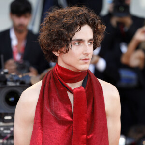 Timothée Chalamet - Tapis rouge du film "Bones and All" lors du 79e festival international du film de Venise, La Mostra. Le 2 septembre 2022.