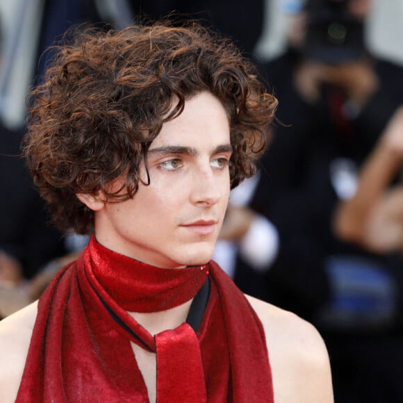 Timothée Chalamet - Tapis rouge du film "Bones and All" lors du 79e festival international du film de Venise, La Mostra. Le 2 septembre 2022.