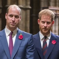 Le prince Harry et le prince William : cette condition cruciale pour pouvoir se retrouver