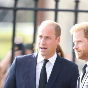 Le prince de Galles William, le prince Harry, duc de Sussex