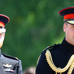 Le prince Harry, duc de Sussex, le prince William, duc de Cambridge en 2018.