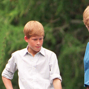 Le prince William, duc de Cambridge, Le prince Harry, duc de Sussex en 1997