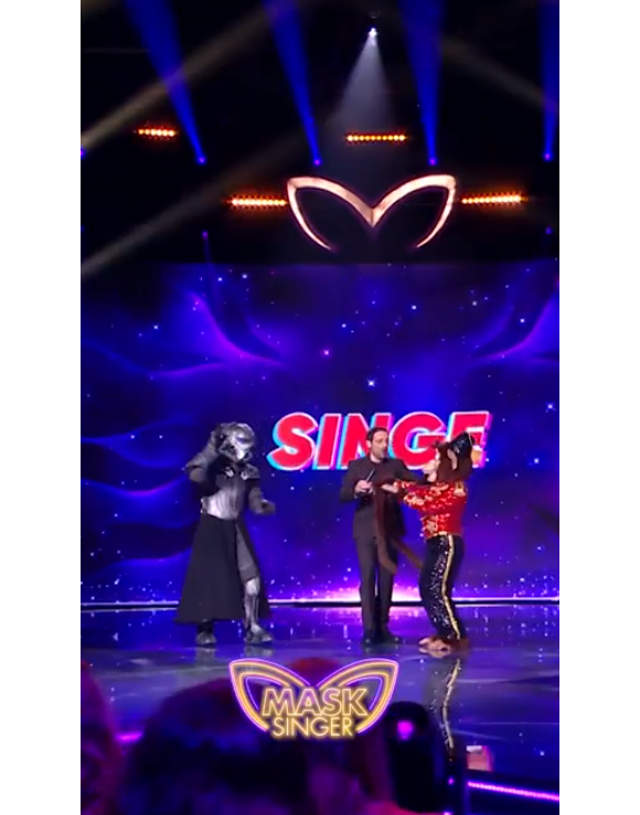 Le Chevalier et le Singe se rencontrent dans "Mask Singer" et se reconnaissent - TF1