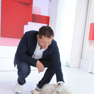 Exclusif - Dany Boon et son chien Boozgy - Enregistrement de l'émission "Vivement Dimanche" au Studio Gabriel, présentée par M.Drucker et diffusée le 25 septembre sur France 3 © Guillaume Gaffiot / Bestimage