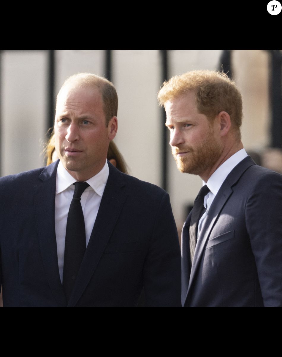 Le prince de Galles William, le prince Harry, duc de Sussex à la rencontre de la foule devant le château de Windsor, suite au décès de la reine Elisabeth II d'Angleterre. Le 10 septembre 2022
