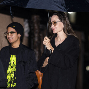 Angelina Jolie fait du shopping avec ses enfants Zahara et Maddox à New York.