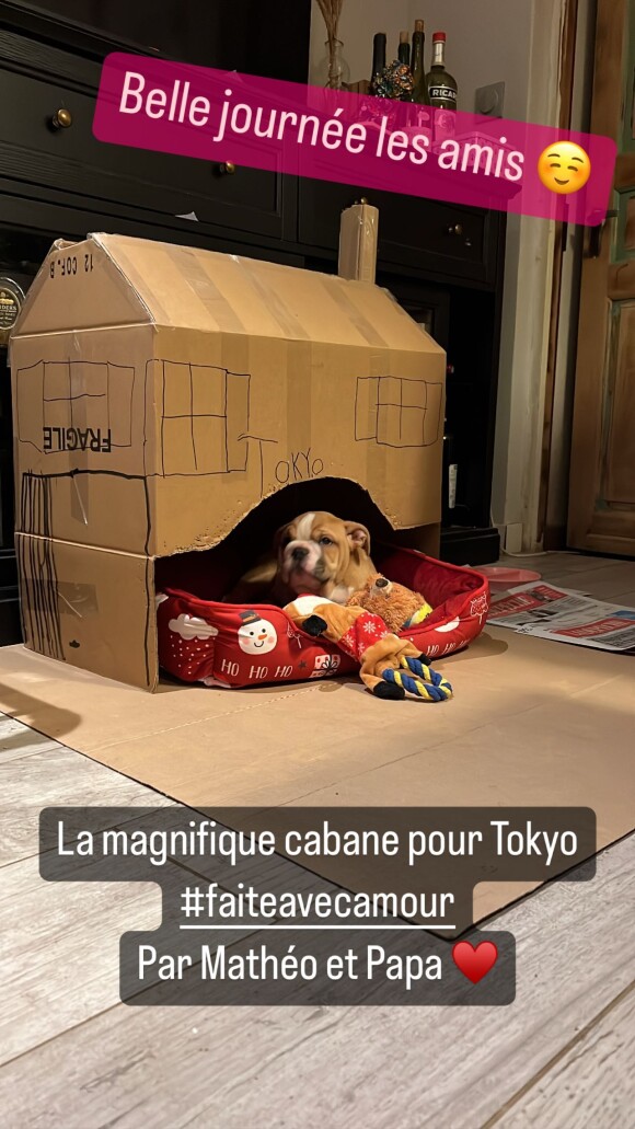 Claire ("L'amour est dans le pré"), Sébastien et leurs enfants Maël et Mathéo. Ils viennent d'acceuillir un superbe chien prénommé Tokyo.