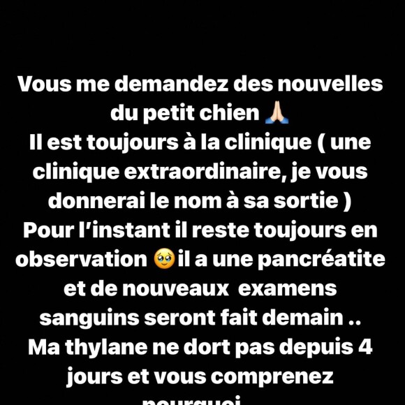 Veronika Loubry a donné des nouvelles du chien de sa fille Thylane Blondeau.
