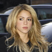 "Ridicule", "Bolosse", "Obsédée" : Shakira reçoit un torrent d'insultes après sa dernière vidéo...