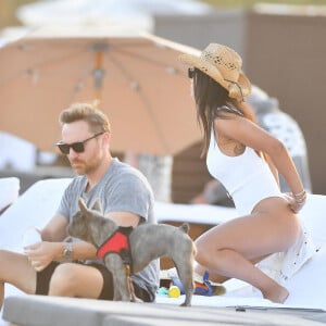 Malgré les rumeurs de séparation, David Guetta et sa compagne Jessica Ledon amoureux plus que jamais profitent d'une journée sur une plage de Miami avec leur chien le 19 février 2023.