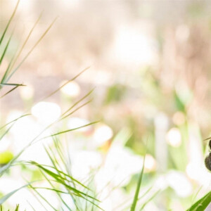 Un éloignement dont le roi Charles III, véritable papi gâteau, devrait souffrir également 
Le prince Harry, duc de Sussex, et Meghan Markle, duchesse de Sussex, se rendent à la réception des industries créatives et des entreprises à Johannesburg, le 2 octobre 2019. Sur place, le couple princier rencontre des représentants des milieux d'affaires britanniques et sud-africains dont des jeunes entrepreneurs locaux. 