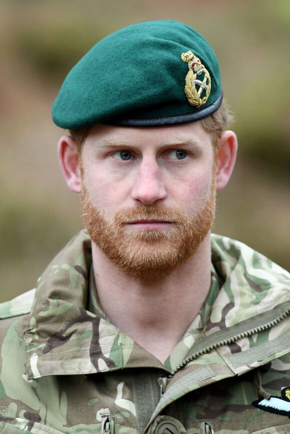 Le prince Harry participe aux activités des membres du 42 Commando Royal Marines sur leur base de Bickleigh le 20 février 2019. 