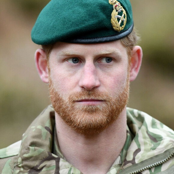 Le prince Harry participe aux activités des membres du 42 Commando Royal Marines sur leur base de Bickleigh le 20 février 2019. 