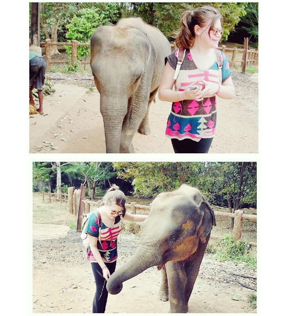 Camille Gottlieb, fille de la princesse Stéphanie de Monaco, lors d'un voyage au Sri Lanka début 2016, photo Instagram. "Je vous présente mon nouveau bébé préféré : Malawa, 4 ans, 670 kilos et orpheline", a-t-elle écrit.