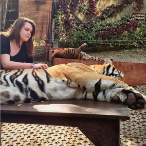 Camille Gottlieb, fille de la princesse Stéphanie de Monaco, avec un tigre lors d'un voyage en Thaïlande début 2016, photo Instagram.