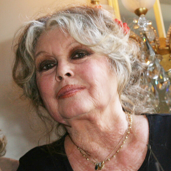 Retirée dans sa maison, la Madrague, Brigitte Barodt a accepté d'ouvrir les portes de son cocon au journaliste Henry-Jean Servat pour nos confrères de Gala.  
Brigitte Bardot lors des 20 ans de la Fondation Brigitte Bardot à Paris.
