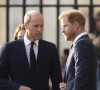 L'une des cousines des princes William et Harry a annoncé sa grossesse.
Le prince de Galles William, le prince Harry, duc de Sussex à la rencontre de la foule devant le château de Windsor, suite au décès de la reine Elisabeth II d'Angleterre. 