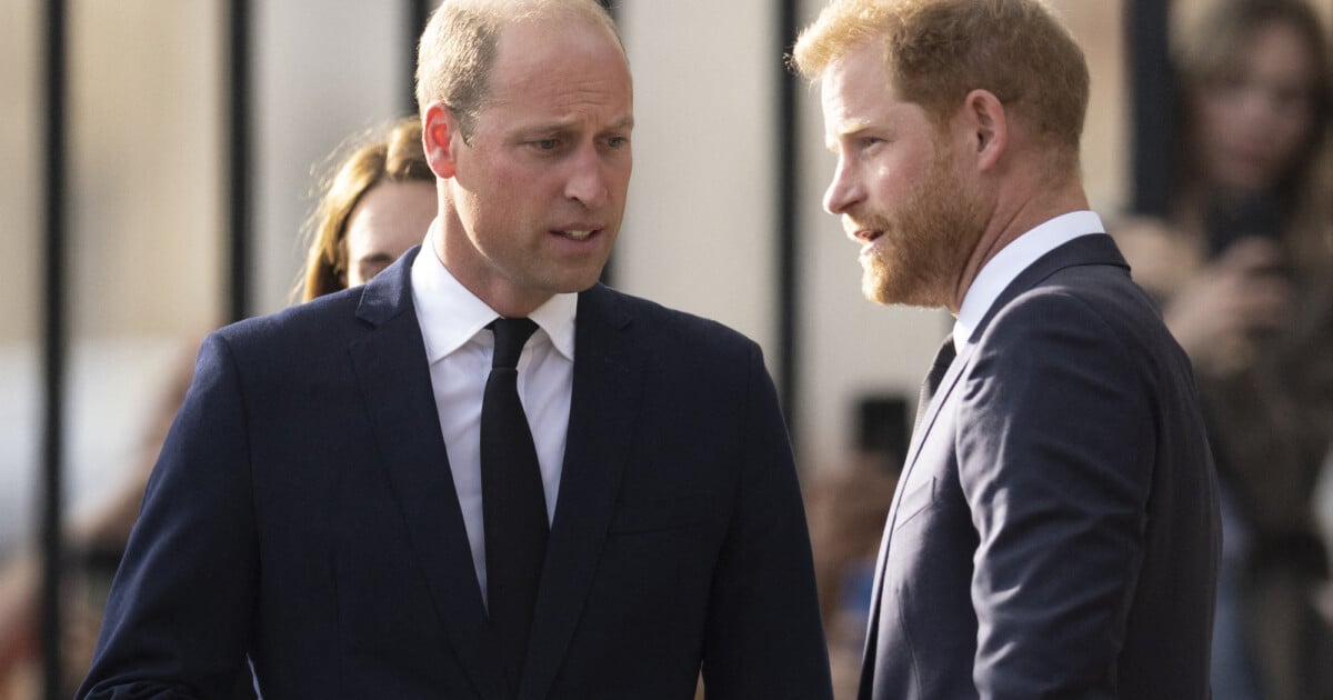 Princes William et Harry Leur sublime cousine est enceinte de son