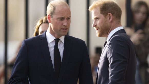 Princes William et Harry : Leur sublime cousine est enceinte de son premier enfant, son ventre déjà rond dévoilé !