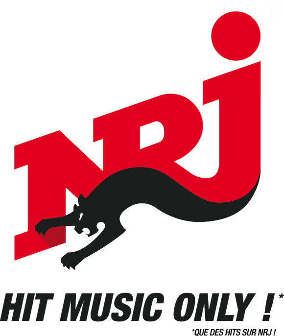 Contre toute attente, NRJ reste bonne quatrième avec 4,2 millions d'auditeurs fidèles.
Logo de la radio NRJ.