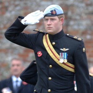 Prince Harry - Remembrance Day 2010