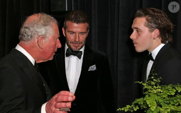 Le prince Charles, prince de Galles, David Beckham et son fils Brooklyn lors de la première de la série Netflix "Our Planet" au Musée d'Histoires Naturelles à Londres, le 4 avril 2019. 