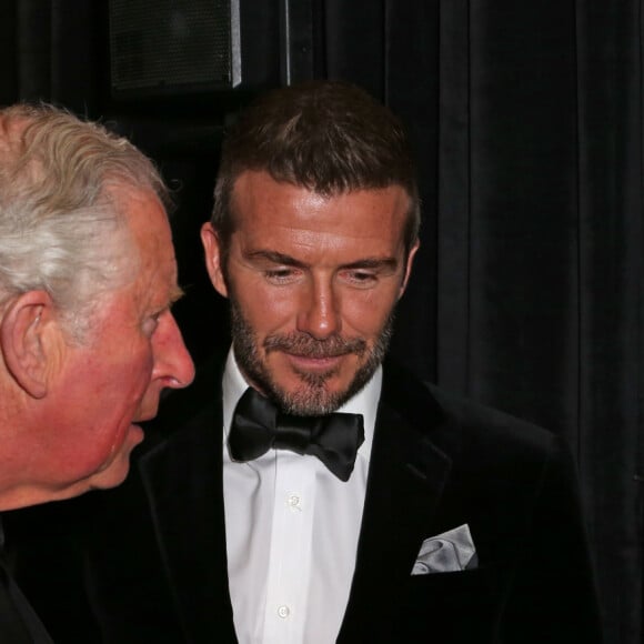 Le prince Charles, prince de Galles, David Beckham et son fils Brooklyn lors de la première de la série Netflix "Our Planet" au Musée d'Histoires Naturelles à Londres, le 4 avril 2019. 