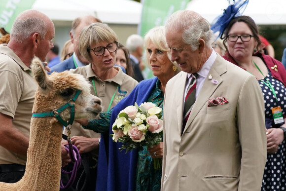 Si sa mère Elizabeth II en raffolait, le roi Charles III y est fermement opposé
Le roi Charles III d'Angleterre et Camilla Parker Bowles, reine consort d'Angleterre arrivent au Theatr Brycheiniog à Brecon, Royaume Uni, le 20 juillet 2023. 