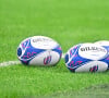 Un jeune homme de 20 ans prénommé Mathis a perdu la vie sur un marché de Toulouse
 
Illustration ballon - Coupe du Monde de Rugby France 2023 - Match de quart de finale "Irlande - Nouvelle Zélande (24-28)" à Saint-Denis, le 14 octobre 2023.