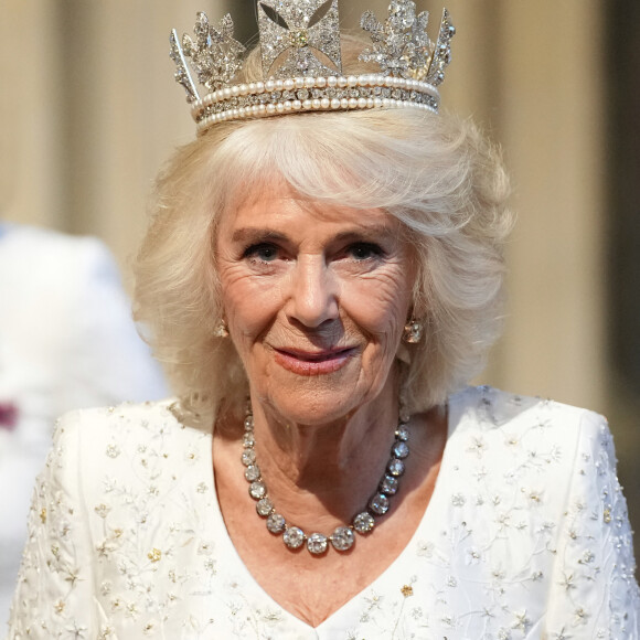 Cependant, Charles III ne s'est pas laissé abattre. Il est certain que Charles III peut compter sur le soutien de sa femme la reine Camilla. 
Premier "discours du trône" du roi Charles III d'Angleterre devant la chambre des Lords au palais de Westminster à Londres? le 7 novembre 2023.