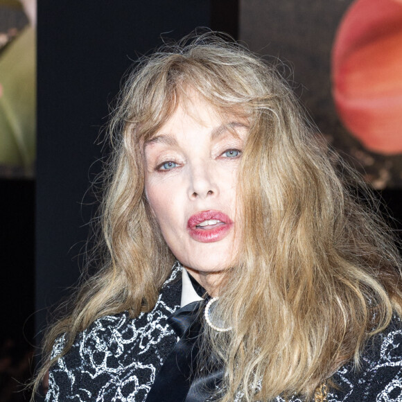 Arielle Dombasle - Photocall du défilé de mode printemps-été 2024 "Chanel" au Grand Palais Ephémère lors de la fashion week de Paris. Le 3 octobre 2023 © Olivier Borde / Bestimage 