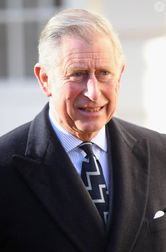 Le prince Charles remet des médailles à Londres, 2011.