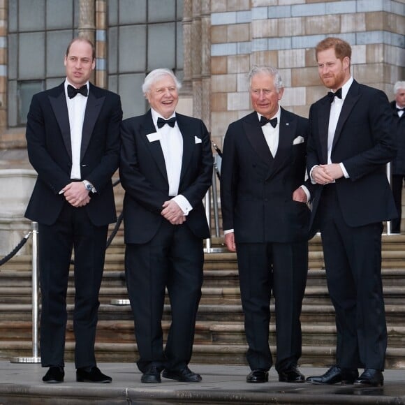 Le prince William, duc de Cambridge, Sir David Attenborough, le prince Charles, prince de Galles, le prince Harry, duc de Sussex, à la première de la série Netflix "Our Planet" au Musée d'Histoires Naturelles à Londres, le 4 avril 2019. 