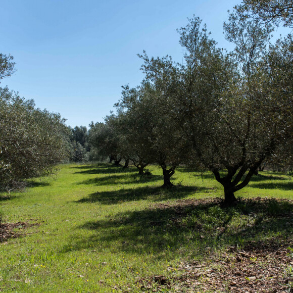 Propriétaire du domaine du Canadel avec son épouse Amal depuis l'été 2021, le papa d'Ella et d'Alexander (nés en 2017) aurait acquis cette prestigieuse adresse pour un montant astronomique 
Château du Canadel, Brignoles