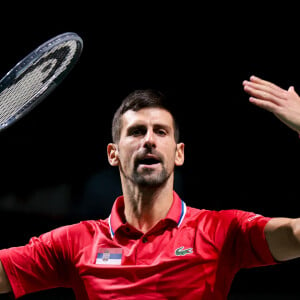 Lors de son deuxième match, Novak Djokovic a été perturbé par les paroles d'un spectateur
 
Novak Djokovic à Malaga, en Espagne, pour la Coupe Davis.