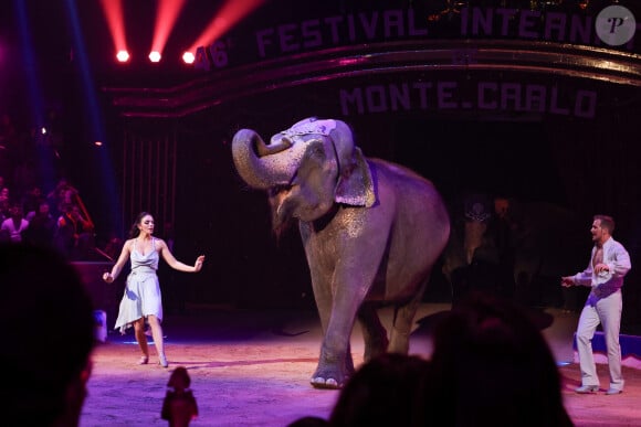 Illustration elephant - La famille princière assiste à une représentation lors de la 46ème édition du festival international du cirque de Monte-Carlo le 21 janvier 2024. © Claudia Albuquerque / Bestimage 