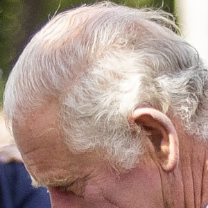 Charles III n'a simplement pas révélé quel organe est touché.
Le roi Charles III d'Angleterre visite le parterre de fleurs en hommage à sa défunte mère, la reine Elisabeth II, à son arrivée au palais de Buckingham à Londres. Le 9 septembre 2022 