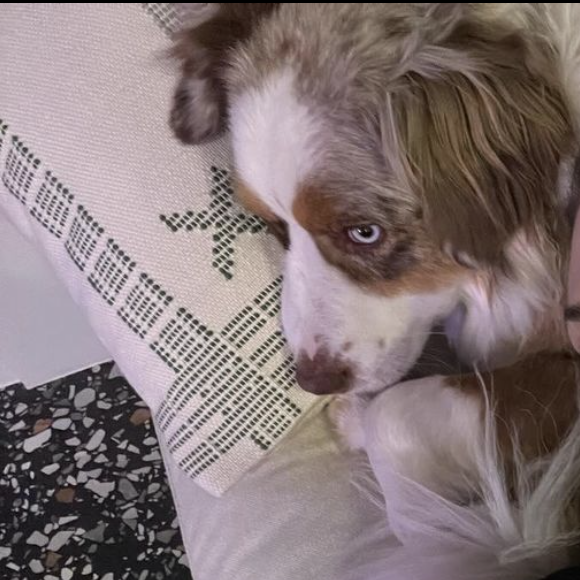 Coeur de Pirate sur Instagram. Le 26 décembre 2023.