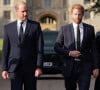 L'une des cousines du prince Harry et du prince William vient d'avoir un bébé ! 
Le prince de Galles William et le prince Harry, duc de Sussex à la rencontre de la foule devant le château de Windsor, suite au décès de la reine Elisabeth II d'Angleterre.