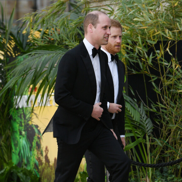 Le prince William, duc de Cambridge, le prince Harry, duc de Sussex, à la première de la série Netflix "Our Planet" au Musée d'Histoires Naturelles à Londres, le 4 avril 2019.