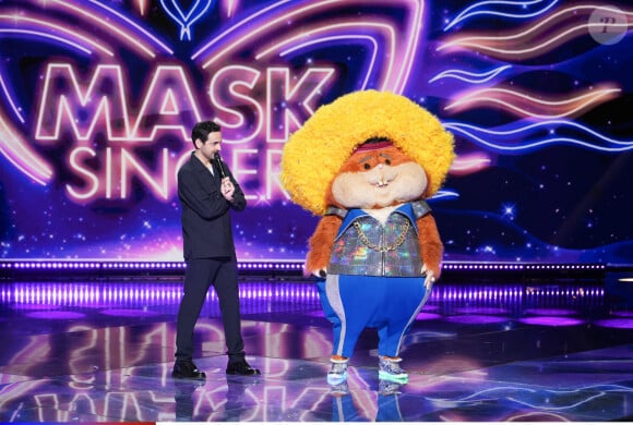 Des personnages ont accordé une interview à "Télé Loisirs"
Le Hamster, costume de "Mask Singer 20224"