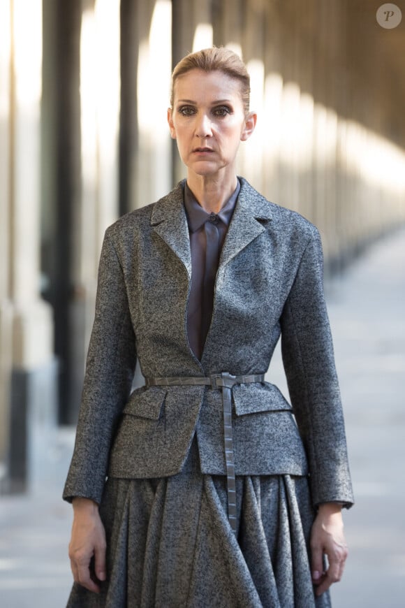 La chanteuse québécoise pourrait bien participer à la cérémonie d'ouverture des JO de Paris

Céline Dion danse le flamenco puis monte sur une échelle avec un sécateur lors d'un shooting pour Vogue dans les jardins du Palais-Royal à Paris le 6 juillet 2017.